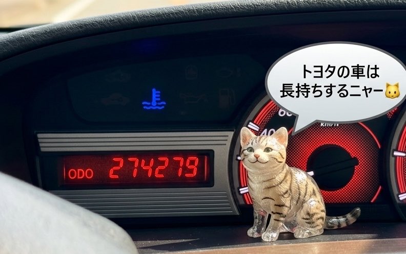 jobojinoneko's tweet photo. おっはニャー🐱
6月1日にトヨタカローラ岩手さんから、二戸市にお車を寄贈いただきましたニャー🐱4年ぶりのカロゴンくんもうれしかったニャー🐱
オラのクルマもトヨタでもうシコしで27万5千キロですニャー🐱
そろそろ新しいクルマ欲しいニャー🐱🚗 https://t.co/YITYJDzyRt