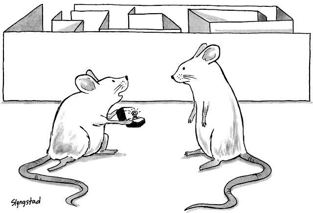 doc_nad's tweet photo. Caption Contest cartoon by Benjamin Slyngstad
My Entry in The New Yorker Cartoon Caption Contest #992 https://t.co/EvYpeXRN22 #BenjaminSlyngstad #Labrats #Cartoon #CaptionContest https://t.co/q6pz6Y7kdE