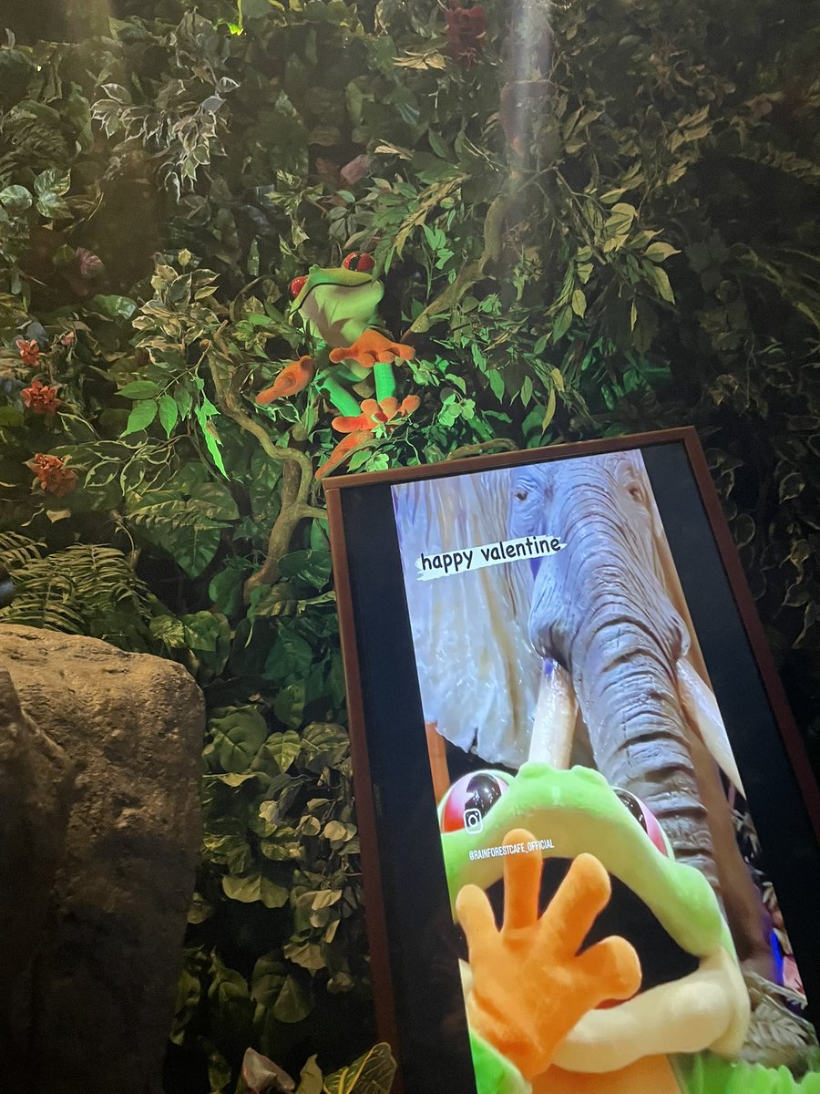 jin9014's tweet photo. グローグーにとって、ここはあまりにも天国ッッ🐸

我らの道

#マンダロリアンアンドグローグー https://t.co/SXBThKFBqV