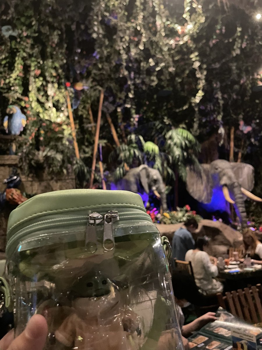 jin9014's tweet photo. グローグーにとって、ここはあまりにも天国ッッ🐸

我らの道

#マンダロリアンアンドグローグー https://t.co/SXBThKFBqV