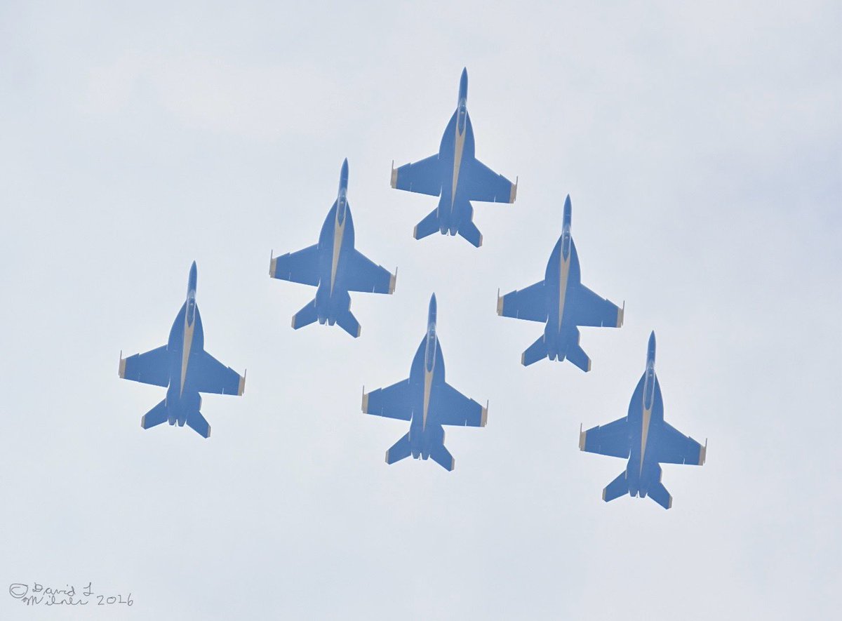 DMilnerPhoto tweet picture