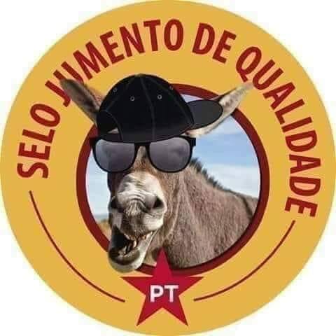 RTomola's tweet photo. @Marcellabbarboa @ptbrasil @Irenequeiroz13 https://t.co/b1jVt3QXU6
