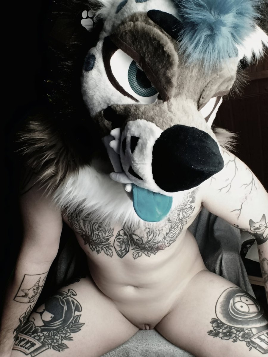 TyrDouchAD's tweet photo. Whats up? 

#yiff #cuntboy #ftm https://t.co/BenzjERPop
