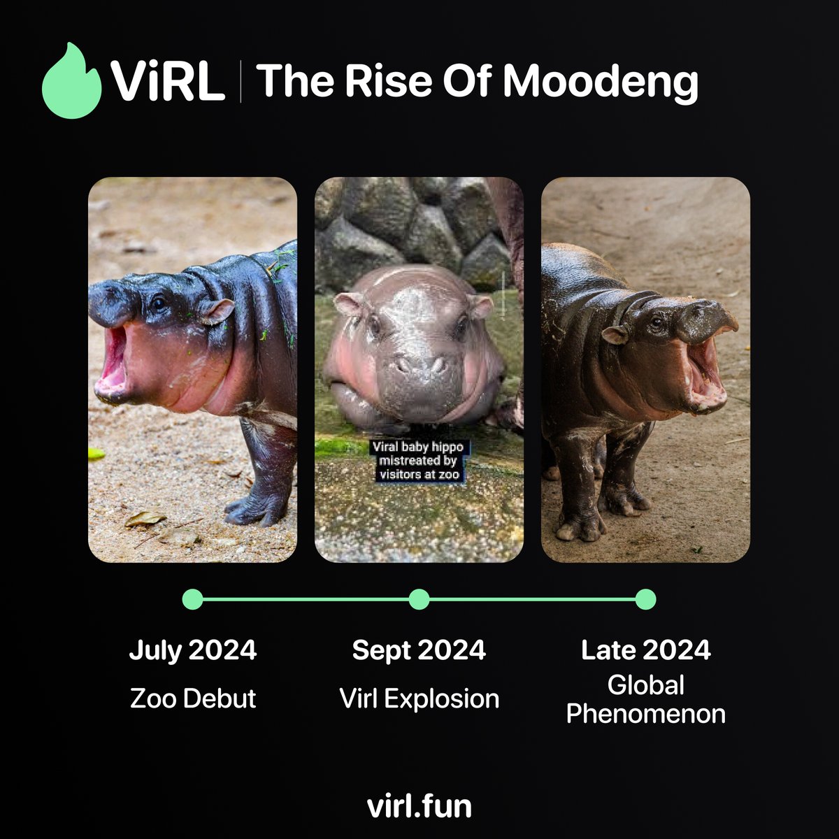 Virl.fun tweet media
