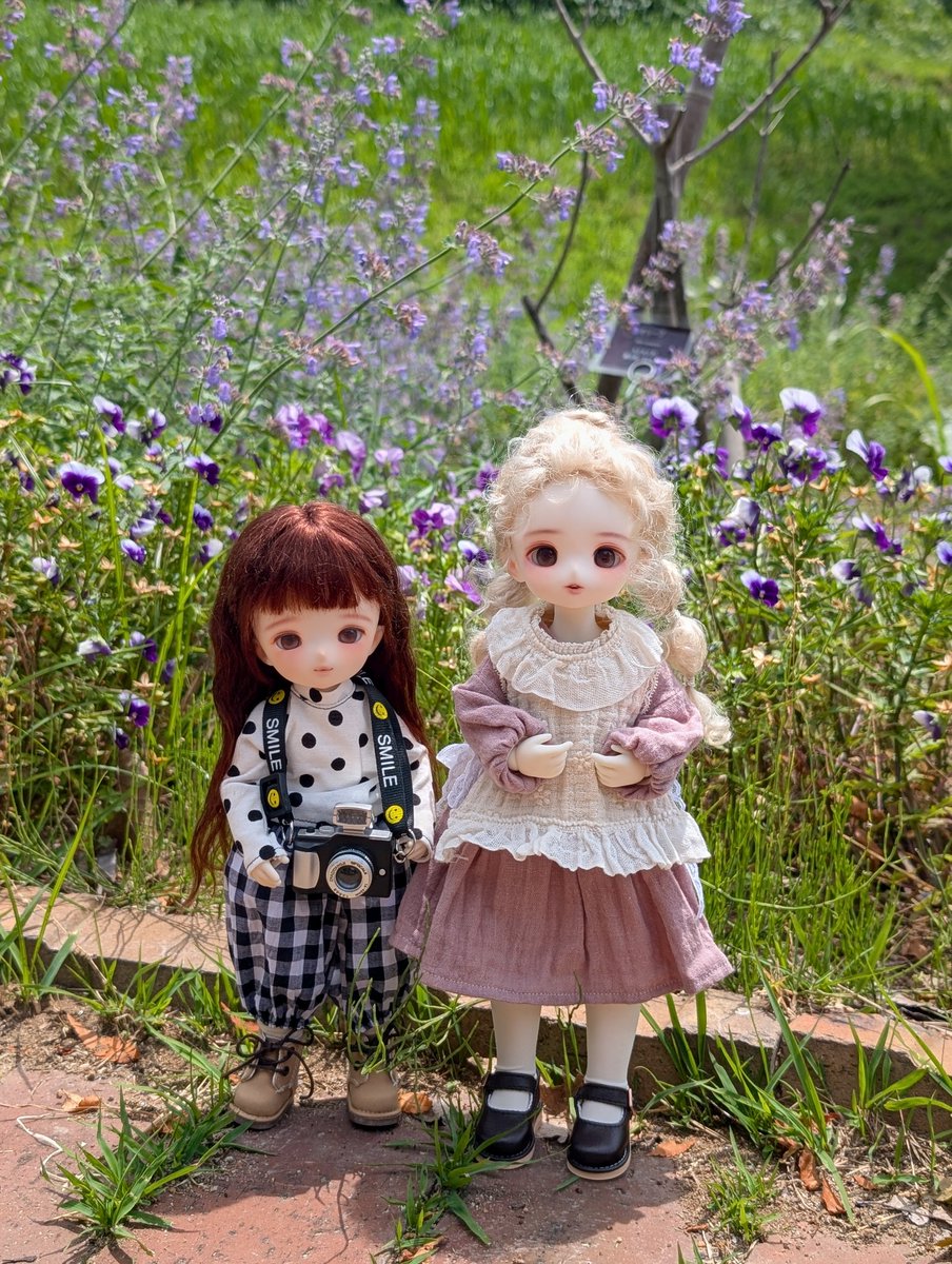 hanacoco95's tweet photo. おはようございます☀
昨日は千晴ちゃんを前回とは違うスタイルにして連れていきました😆

#まめじ工房 https://t.co/krChinOg12
