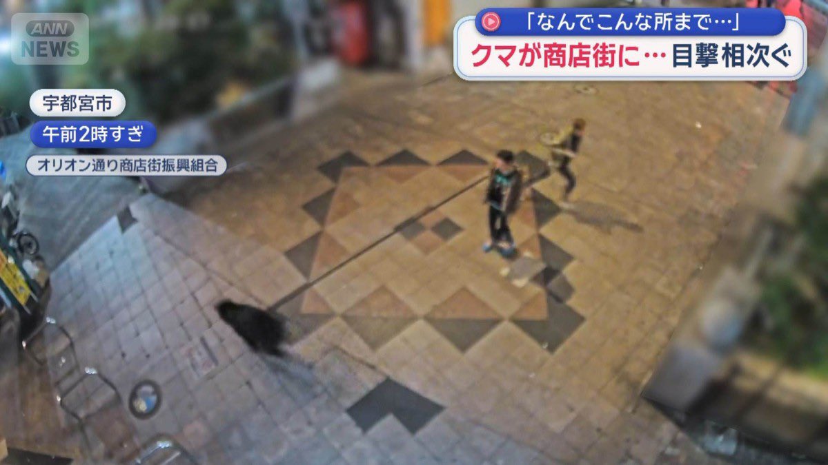 aabbuu00's tweet photo. 熊が出るような山は行かないけど、商店街で熊に襲われるとか…もうそこには住めないやん😨 https://t.co/enTxU0mKoX