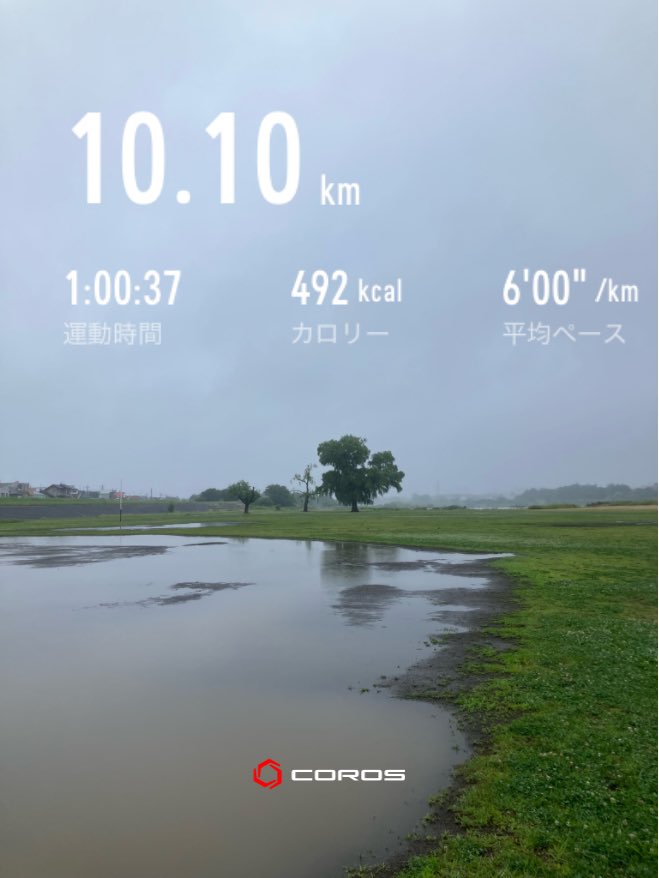 rinrin_runner's tweet photo. ワラーチシャワー☔️ラン10K🏃‍♀️💨

(芝生8K+舗装路2K)

芝生は湿地帯になっていて、ビシャビシャ🤯

筋肉痛はそれほど酷くなくて、
でも体全体が疲れていて、昨日は仕事がキツかった...

トレイルの下りのスペシャリストになりたいけど、先導者の本気の速さに全然追いつけなくて、すんごく悔しい...！😠 https://t.co/AtZ7EXPKED