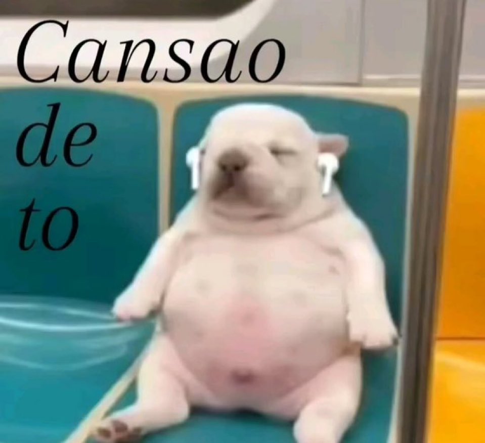 smontana_'s tweet photo. soy ese perro https://t.co/sVzLfDDXRR
