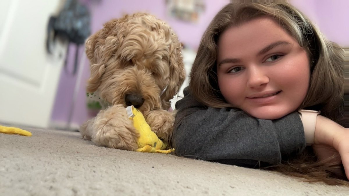 Kendra_Mac06's tweet photo. Sweetest girl 🐾🥰 https://t.co/zpfeOkXeFp