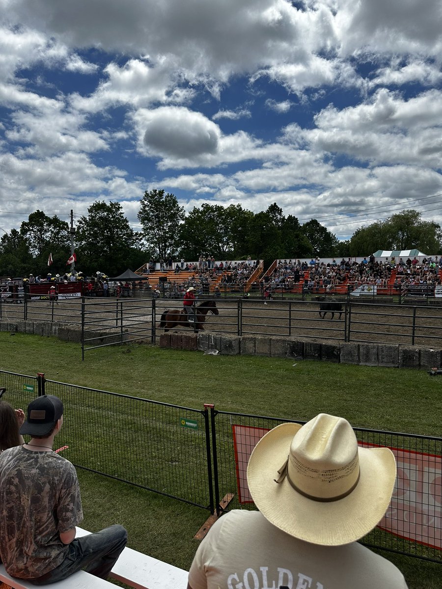 sentryhills's tweet photo. my back is so burned but i went to da rodeo https://t.co/0blQttar6a