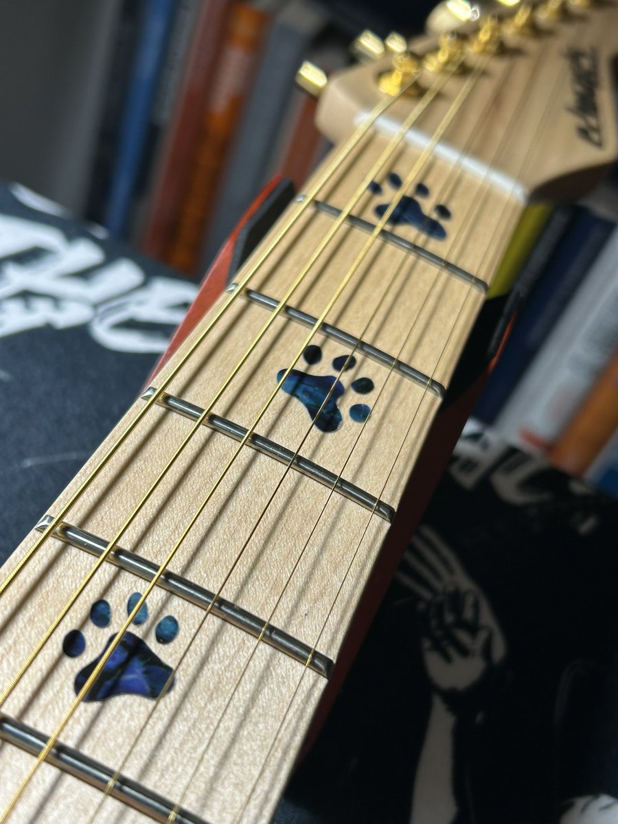 yashas40's tweet photo. 基本的にはSIT派なんだけど、今回はOptimaの24Kゴールドコーティング弦を使ってみた。あのBrian Mayも愛用しているらしい。もちろん、#大村孝佳 の Edwards E-SNAPPER Gold に張ってみたとはいえ、この値段（¥3,800）を考えると、正直ちょっと期待しすぎたかも。やっぱり自分はSITのほうが好みかな。 https://t.co/VZBWn0feIq