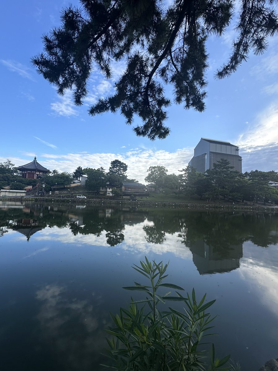 HiS_YM's tweet photo. おはようございます。
昨夜の大雨は止み、晴れ間がやってきた奈良。しかし天気予報は曇りのち雨。しばしの陽射しを楽しみます。
昨夜の強風で折れた松の木。
痛々しいのですが、あたりに微かに芳香が漂っています。

今日もご安全に https://t.co/n1Jg0LZD2T