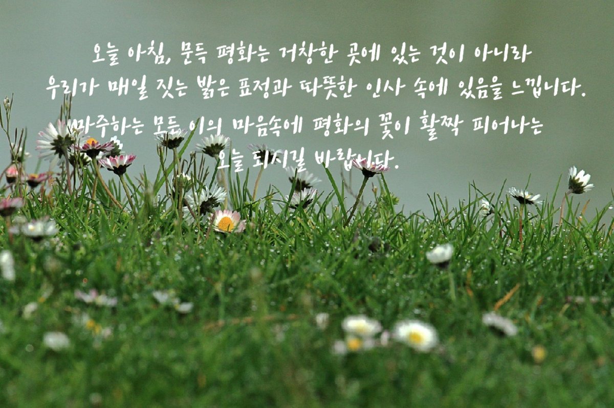 Kma0418's tweet photo. https://t.co/L7ykhMUHMy