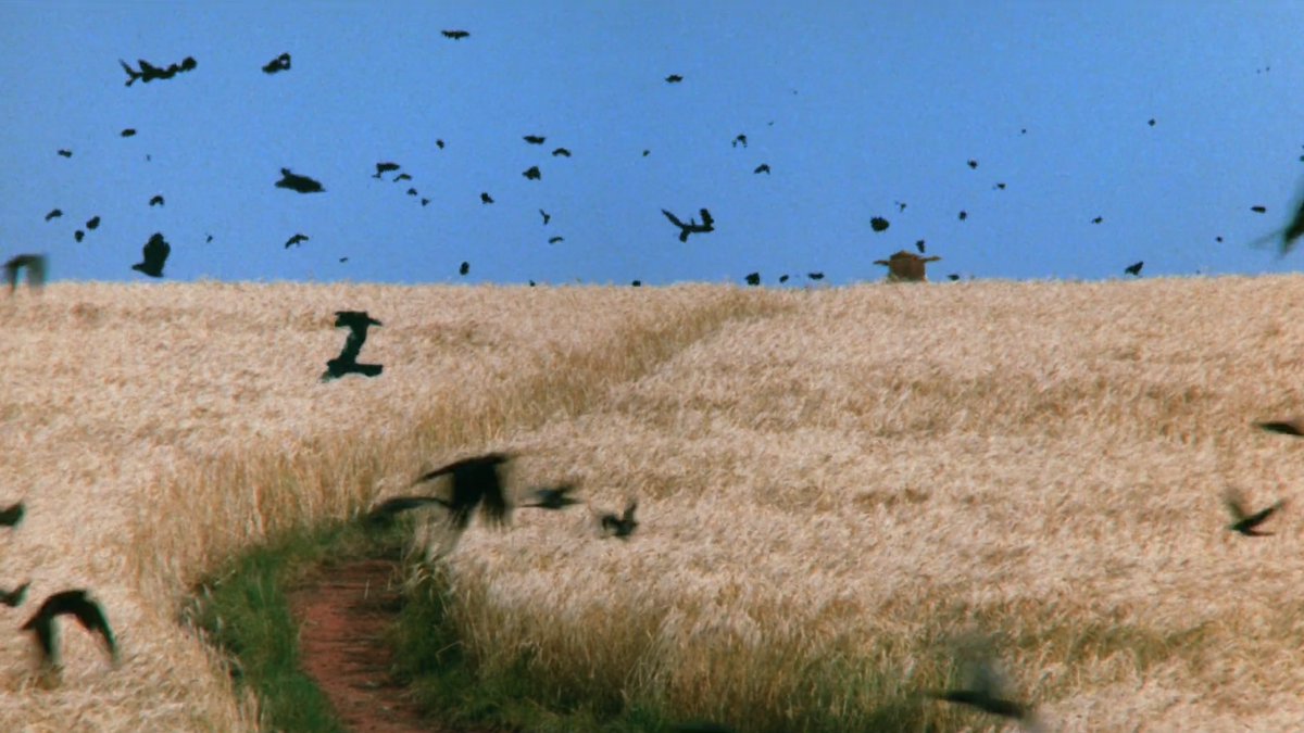 75ploy's tweet photo. dreams - akira kurosawa (1990) https://t.co/OSDO6Nc9Yr