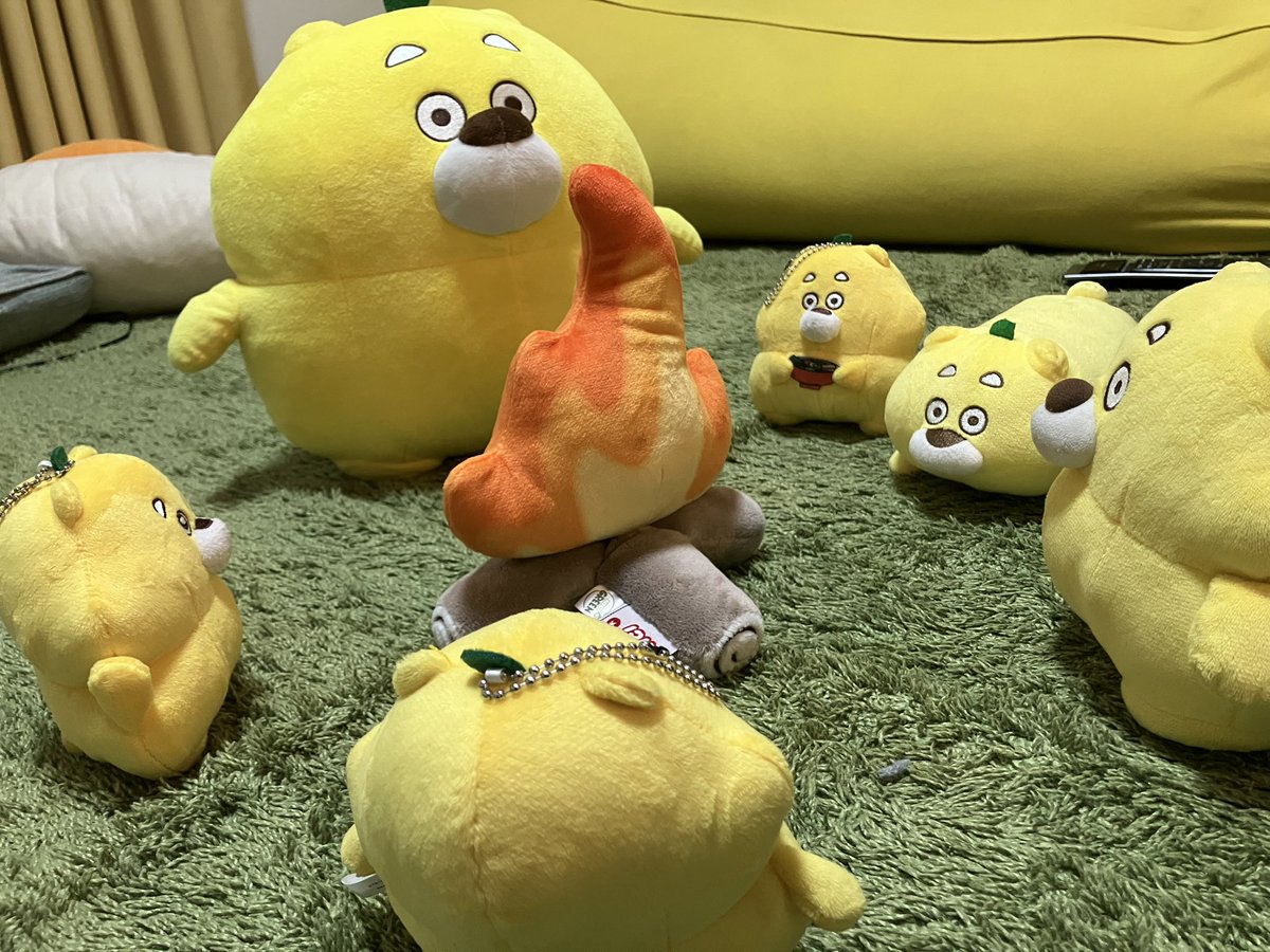おはん (@shibaken_nu) / Posts / X
