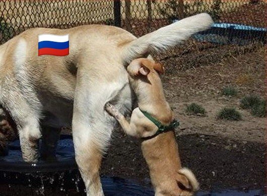 Zorboter's tweet photo. @BSWHamburg "Wir sind nicht "für Putin"!
Ja, wir verstehen Putins Interessen tatsächlich"

schonklar https://t.co/VNjgitc1C2