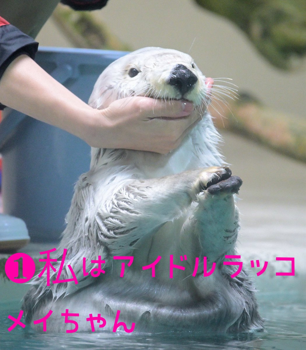 らこらこ (@1831874tfh) / Posts / X