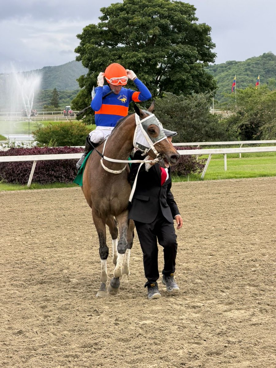 OficialINH's tweet photo. Fotos 📸| "Regal Holiday" (5), triunfó en la 4ta. válida para el 5y6 con la conducción del jinete profesional Jaime Lugo Jr. y el entrenamiento de Enrique Martínez. 

▫️ En el segundo lugar llegó "Lord Inglés" (4). 

#Hipismo https://t.co/L4bEXnt7Mz