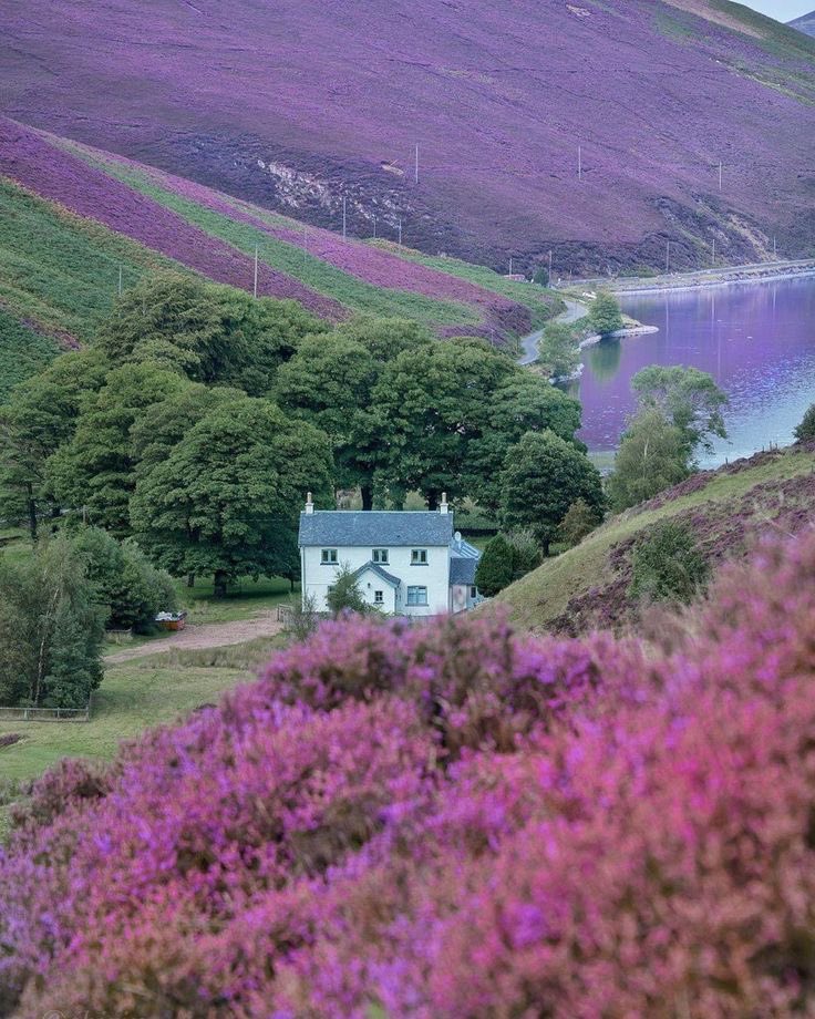 naturehealyou's tweet photo. Pentland, Scotland https://t.co/xlaTxwviBE