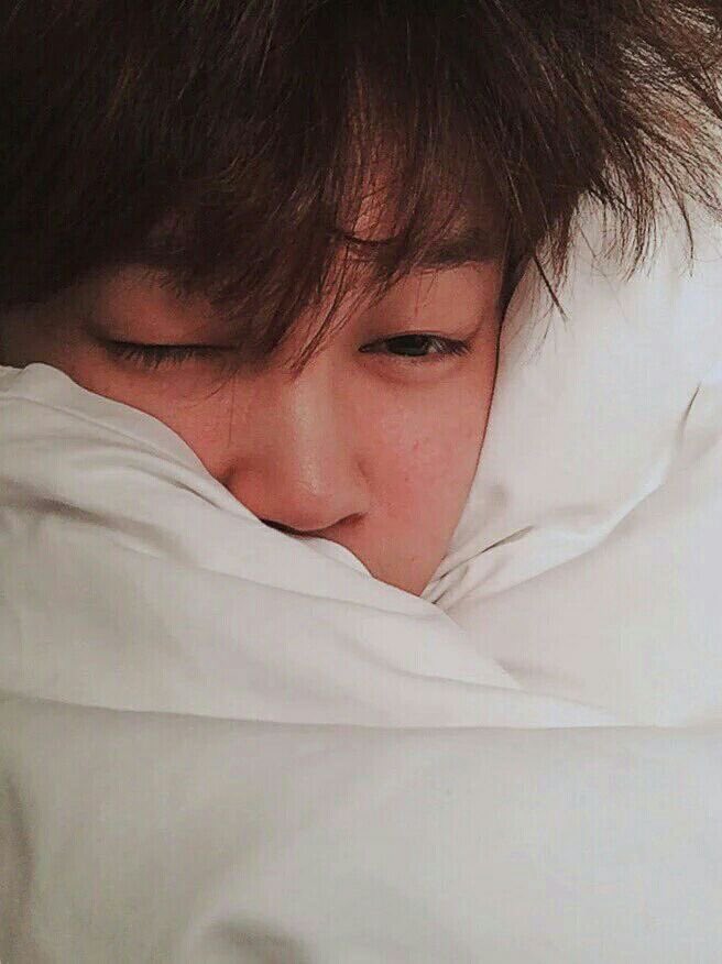 bfruised's tweet photo. in beddd zZzzz https://t.co/a4dsRQvWyR