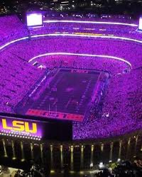 _Geaux_LSU's tweet photo. @afc_thms 😂 stfu https://t.co/RhL4uCqzKm