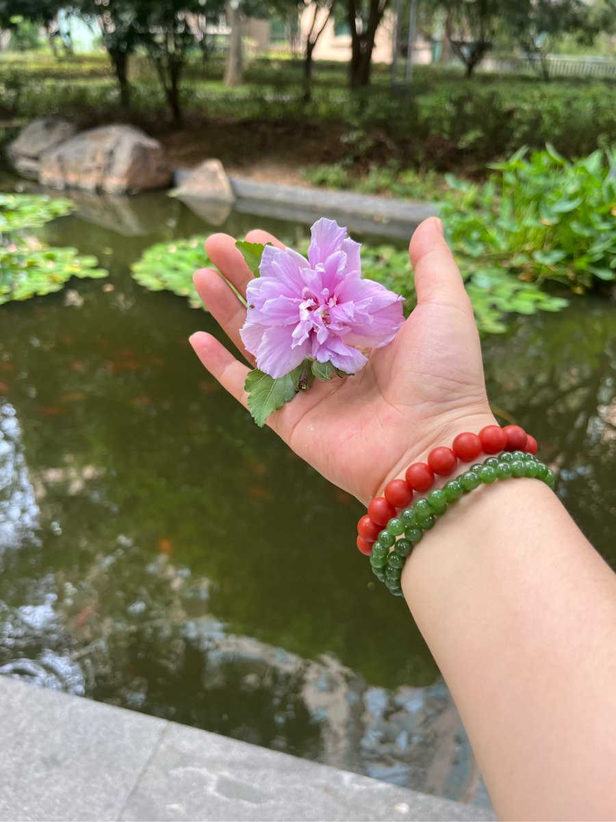 promerrige's tweet photo. Growth isn’t about never falling—it’s about getting up, dusting off, and seeing every small stumble as a step forward. （成长并非永不跌倒，而是起身、掸去尘土，把每一次小跌都当作向前的一步。） https://t.co/MR72iPLvgI