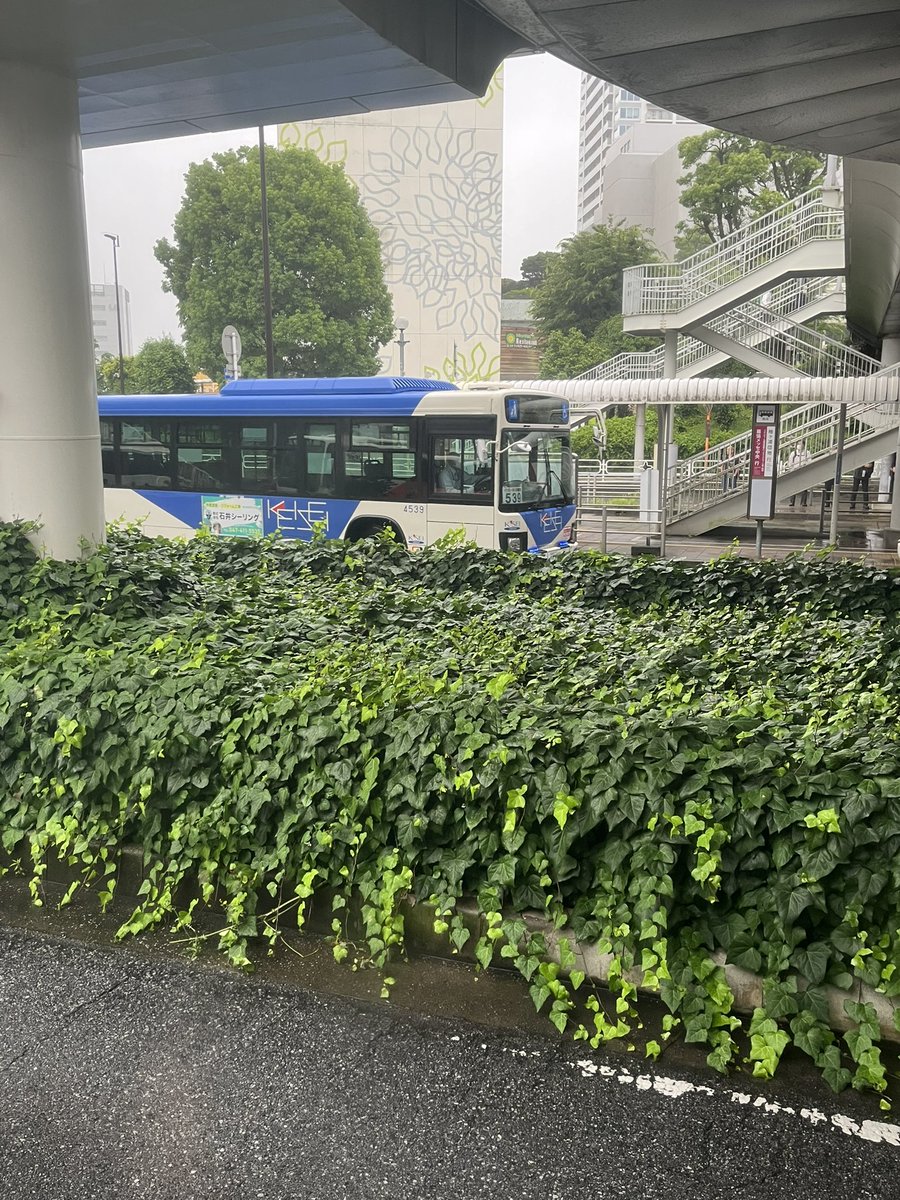 cro96cro's tweet photo. 駅まで徒歩5分程度なんだけど、雨が止んでいて良かった。
また降り出してる。 https://t.co/FPoc6kHgvP