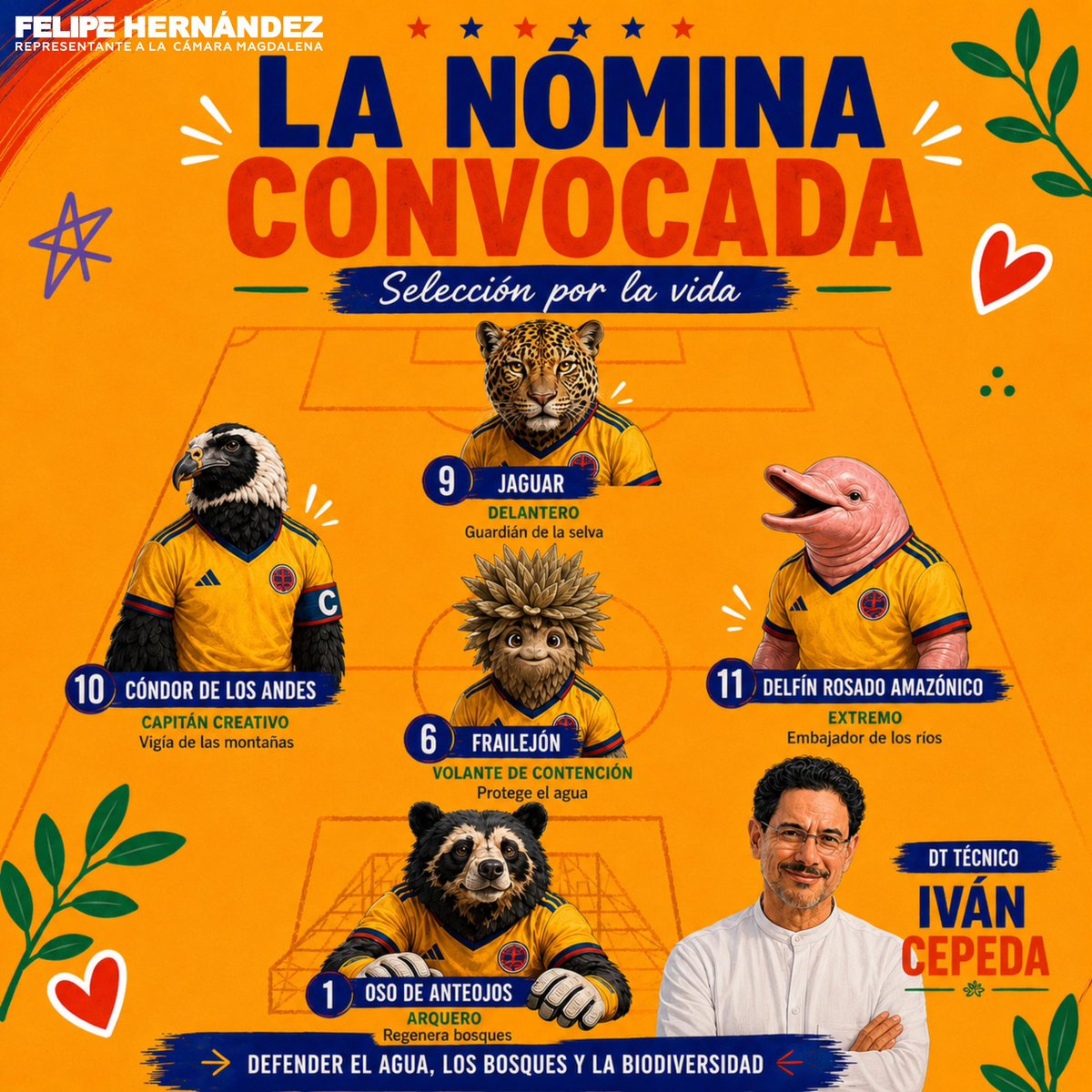 Fhernandezpolo's tweet photo. ¡YA SALIÓ LA TITULAR! 🚨🇨🇴

Así formará la Selección por la Vida dirigida por nuestro próximo presidente, Iván Cepeda, un defensor del medioambiente. 💛💙❤️

El oso de anteojos, el frailejón, el delfín rosado, el cóndor de Los Andes y el jaguar, serán los encargados de defender el agua, los bosques y nuestra biodiversidad. No dejes que los exterminen, juégatela por la vida. 🐆🐬🫰🏼

#MeLaJuegoPorLaVida #SeleccionColombia #Petro #PactoHistórico #CepedaPresidente