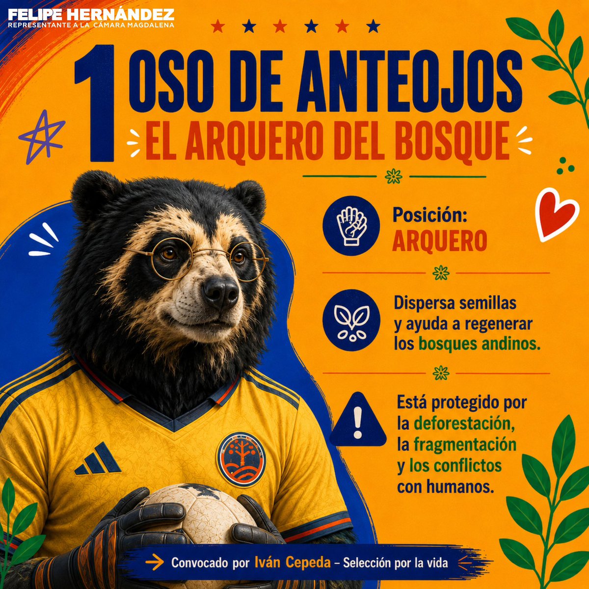 Fhernandezpolo's tweet photo. ¡YA SALIÓ LA TITULAR! 🚨🇨🇴

Así formará la Selección por la Vida dirigida por nuestro próximo presidente, Iván Cepeda, un defensor del medioambiente. 💛💙❤️

El oso de anteojos, el frailejón, el delfín rosado, el cóndor de Los Andes y el jaguar, serán los encargados de defender el agua, los bosques y nuestra biodiversidad. No dejes que los exterminen, juégatela por la vida. 🐆🐬🫰🏼

#MeLaJuegoPorLaVida #SeleccionColombia #Petro #PactoHistórico #CepedaPresidente