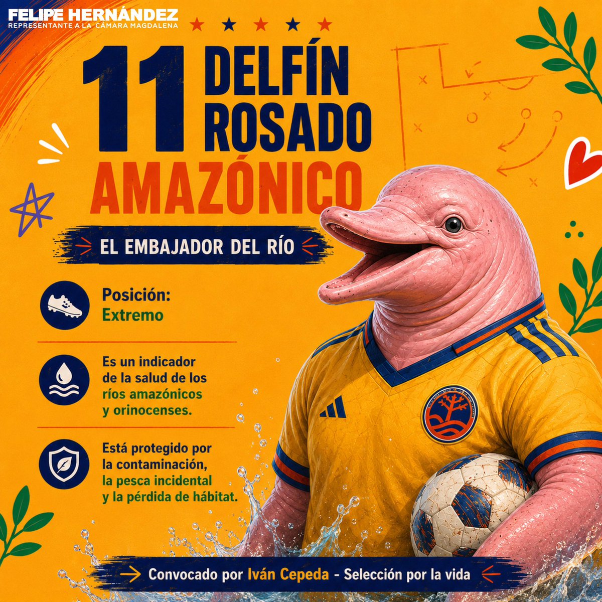 Fhernandezpolo's tweet photo. ¡YA SALIÓ LA TITULAR! 🚨🇨🇴

Así formará la Selección por la Vida dirigida por nuestro próximo presidente, Iván Cepeda, un defensor del medioambiente. 💛💙❤️

El oso de anteojos, el frailejón, el delfín rosado, el cóndor de Los Andes y el jaguar, serán los encargados de defender el agua, los bosques y nuestra biodiversidad. No dejes que los exterminen, juégatela por la vida. 🐆🐬🫰🏼

#MeLaJuegoPorLaVida #SeleccionColombia #Petro #PactoHistórico #CepedaPresidente