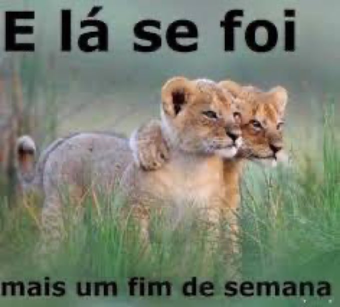 comavirtual's tweet photo. não quero trabalhar essa semana https://t.co/GoAGGtccKz