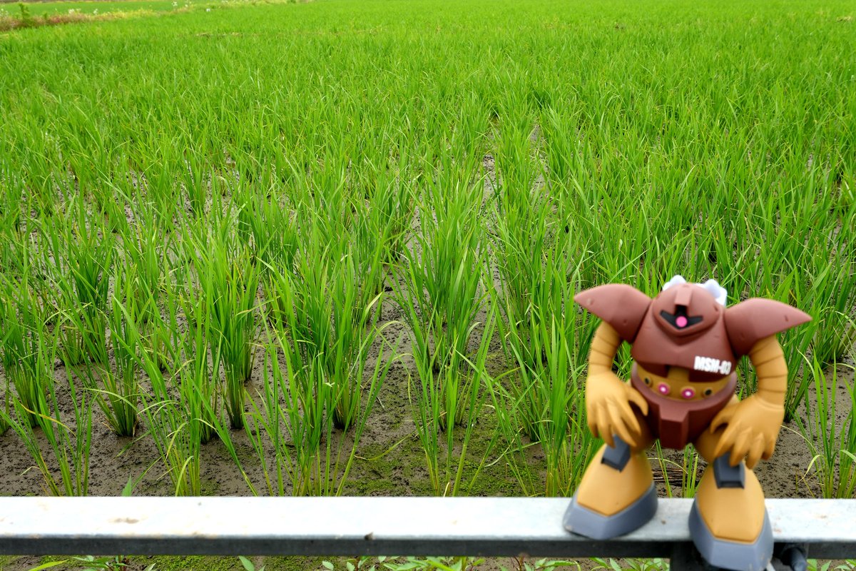 TiN8gd9jwtTB4f3's tweet photo. おはようございます🦆
今週もよろしくお願いします🍀 https://t.co/i5y8UFKzvn