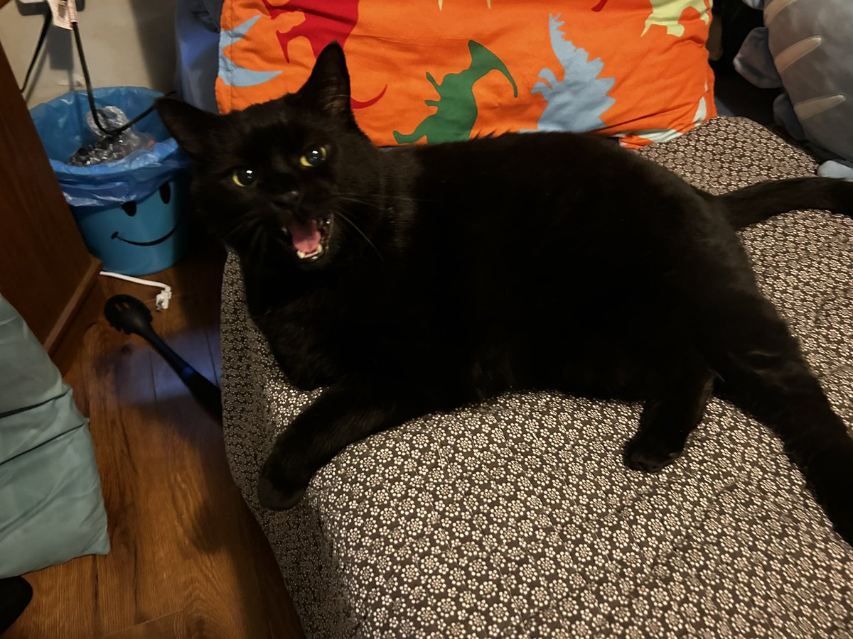 johnnylostcaus3's tweet photo. @phosphor_glow I just came home from vacation and my boy lost his mind https://t.co/CivXZt4QGU