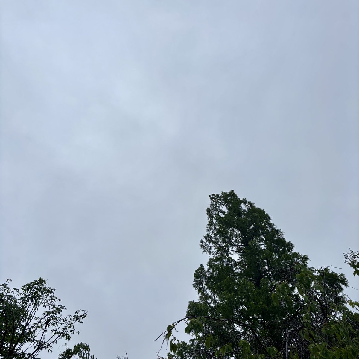 KAISEI48's tweet photo. おはようございます😃
関東も梅雨入りやん🌧️
今日も楽しく〜 https://t.co/JLwacFpJNz