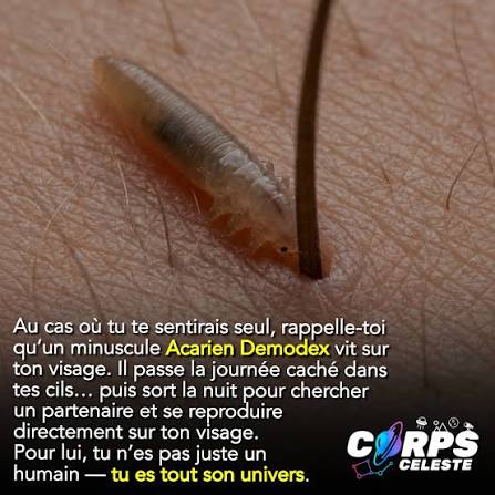 Bauflert's tweet photo. @NeuralSpace_ @PrismeMedia https://t.co/urkd6FgB1V