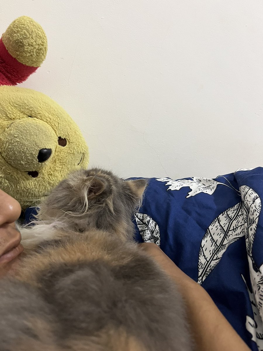 runavierre's tweet photo. Nempel mulu ya Runa sama papanya dari semalem 😌 https://t.co/QQjrm1mzqG