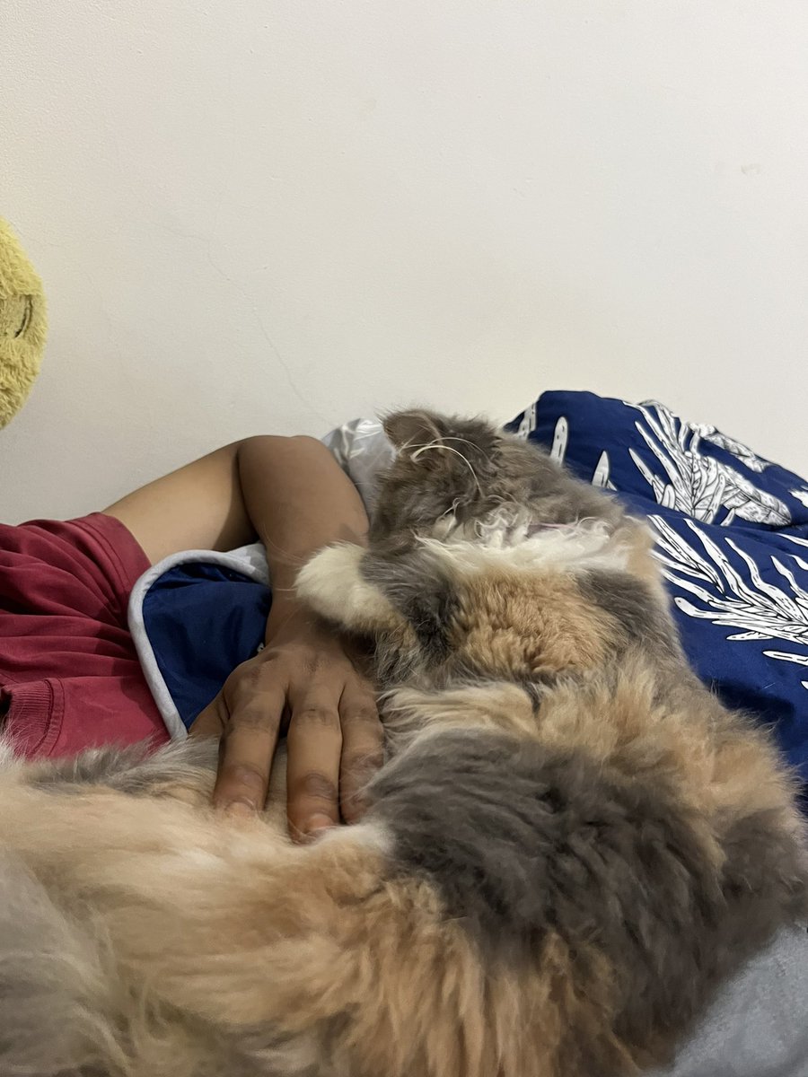 runavierre's tweet photo. Nempel mulu ya Runa sama papanya dari semalem 😌 https://t.co/QQjrm1mzqG