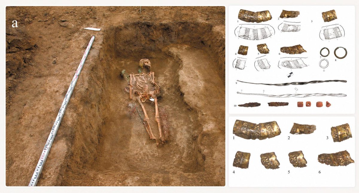 TrueAncestry's tweet photo. Fascinating study of a richly furnished Polovtsian burial from the medieval Eurasian steppe! Ancient DNA analysis reveals genetic ties to the broader Kipchak-Cuman world spanning from Ukraine to Kazakhstan. https://t.co/dwKrKluoe2 https://t.co/8eU0dJIE7o