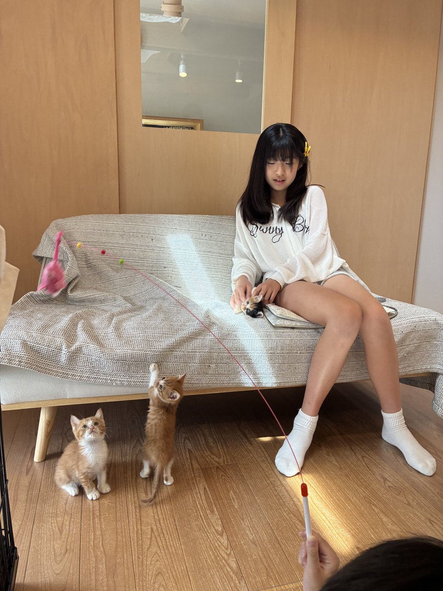 Mao (@mao546366959430) / Posts / X