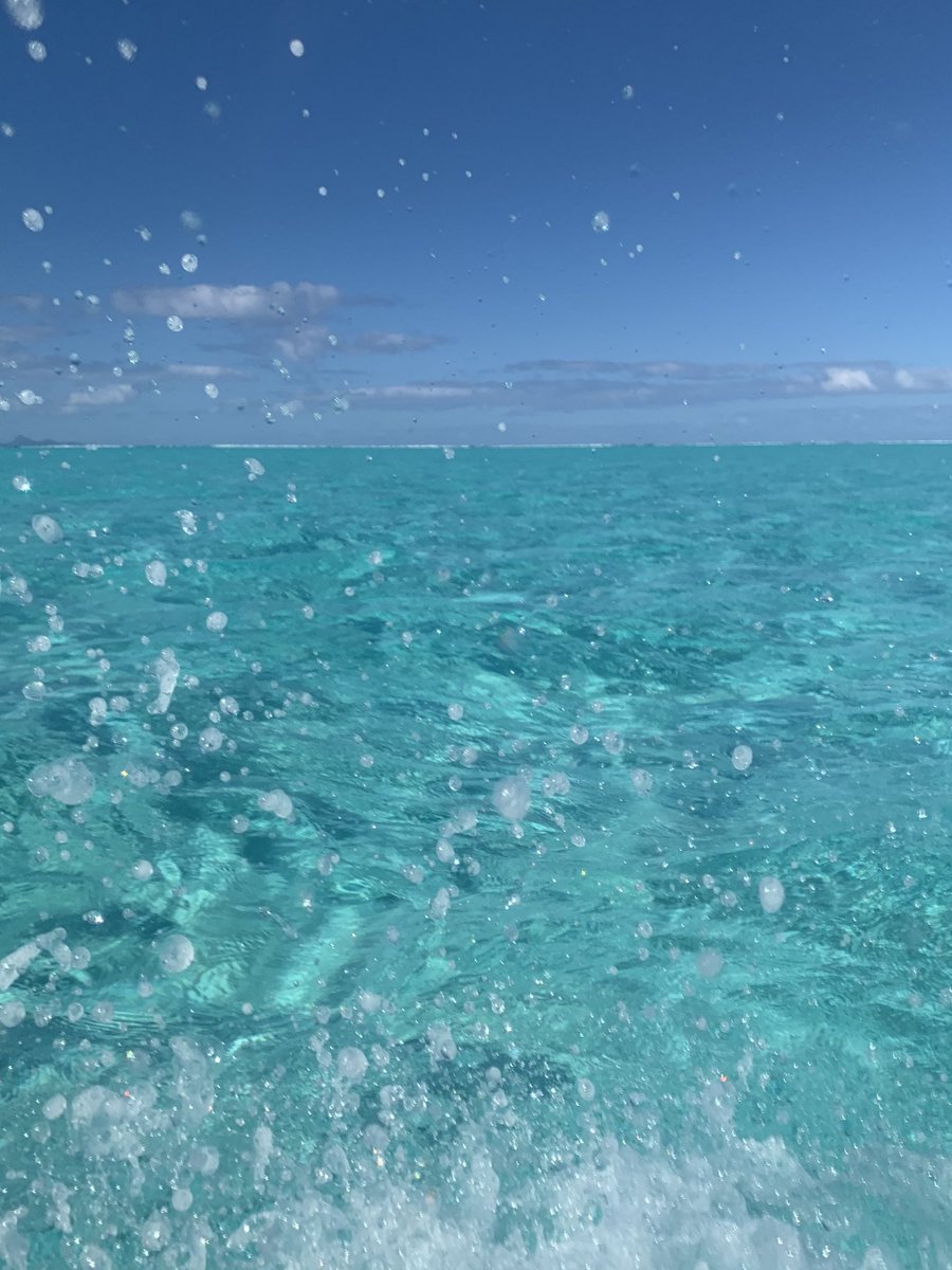 makolanieth's tweet photo. いまそら
Happy Sunday 🌊
Tiffany Blue all the way🫶 https://t.co/fFt3ZCX5FI