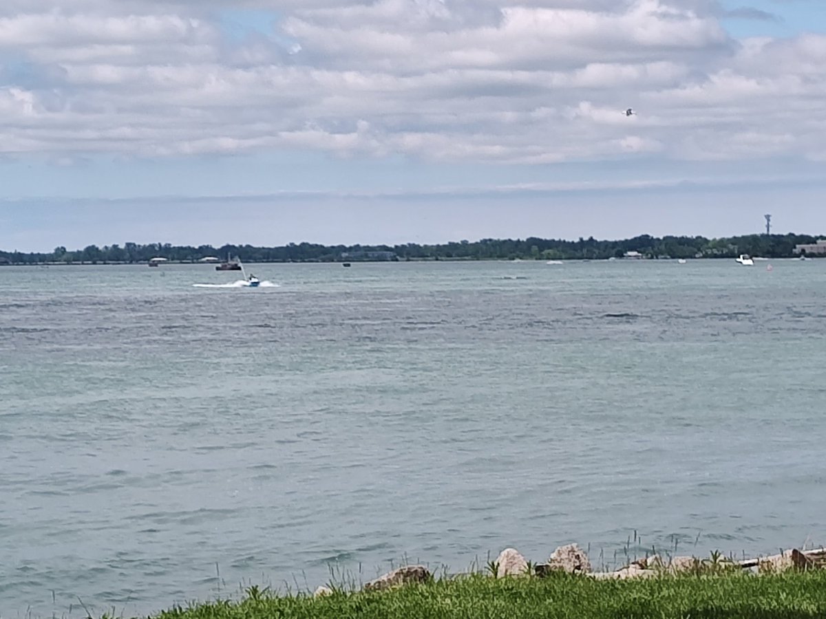 ordinaryguy64's tweet photo. My view this afternoon. https://t.co/0zLvRZsOxh
