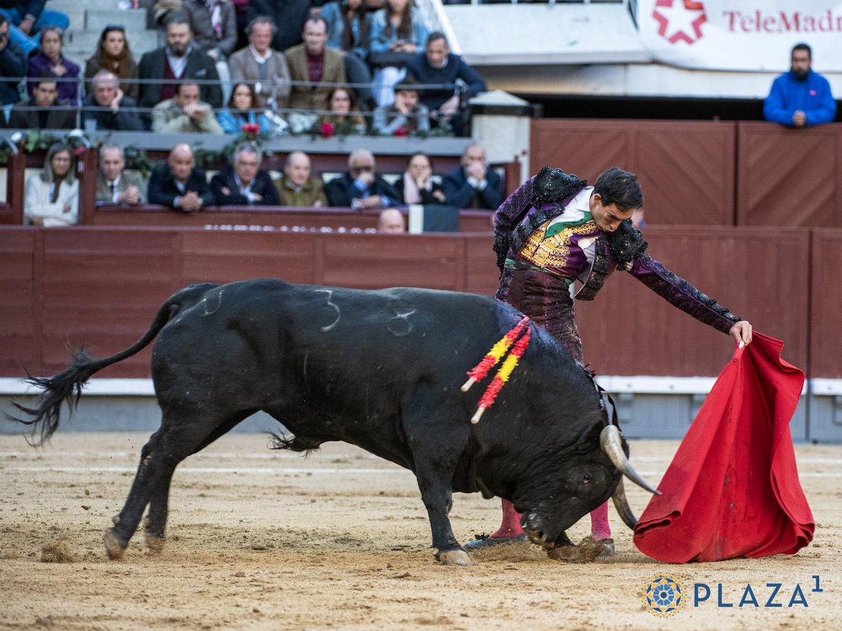 ClubdelaSerpie's tweet photo. La faena de la feria ha sido la de Fortes. Y de ahí no me bajan. https://t.co/iBO2iWJmI1
