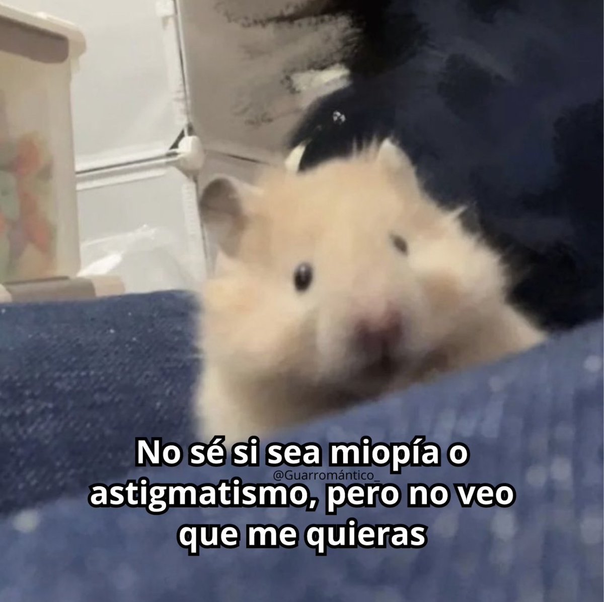 Guarromantico_'s tweet photo. No veo. https://t.co/4xPof7CyRi