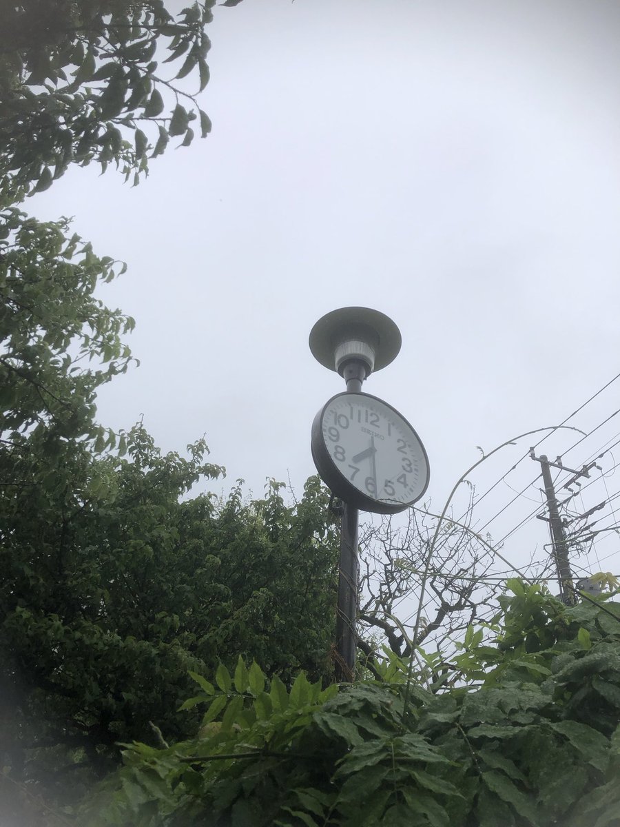 cloud_ichigo's tweet photo. おはようございます
昨夜からの雨が続き
梅雨の季節を迎えています

#企業公式が朝の挨拶を言い合う 
#企業公式が毎朝地元の天気を言い合う
#企業公式相互フォロー https://t.co/QhjlQek4DJ