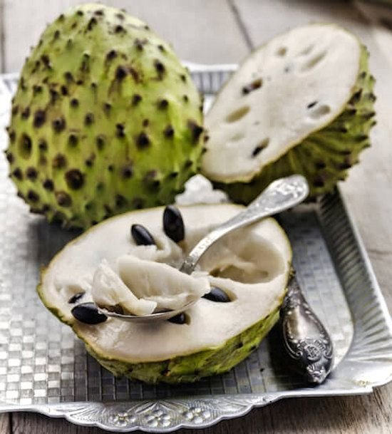 jesus_osorior's tweet photo. DIOS CREÓ 5 FRUTAS TROPICALES QUE COMBATIR EL CÁNC3R, DESTRUYE LOS PARÁSITOS Y FORTALECE EL SISTEMA INMUNOLÓGICO.

1. La Guanábana (Graviola) https://t.co/WMIdoM6drv