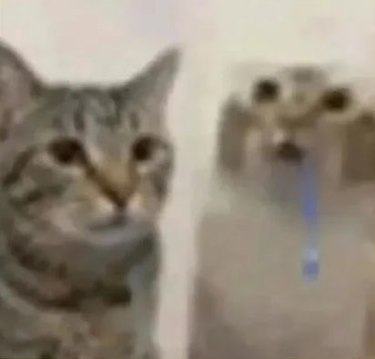 imlitta's tweet photo. Us? 

#memes #fy https://t.co/jMjSMPhWCE