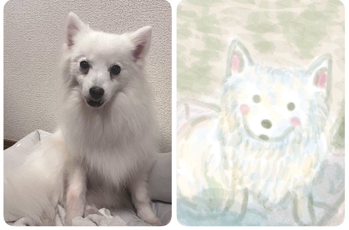 Post by はるかぜ on X: 写真とイラスト