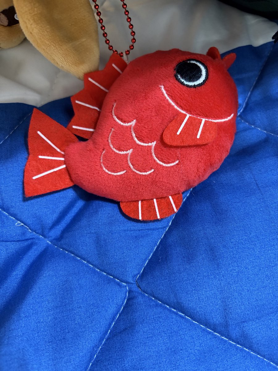 yuriebb's tweet photo. よくある弱々アームのUFOキャッチャーでこれを欲しがって1000円使っても取れなくて、ひっきりなしに人は来るのに30分誰も取れなくて、ついに近くに居た施設スタッフにさ‥‥
「あのUFOキャッチャー取れない仕様ですか？」って聞いちゃった。
もうさ、もっと違う言い方あったやろ！って恥ずかしくてよぉ https://t.co/Lq8P3qx5CB