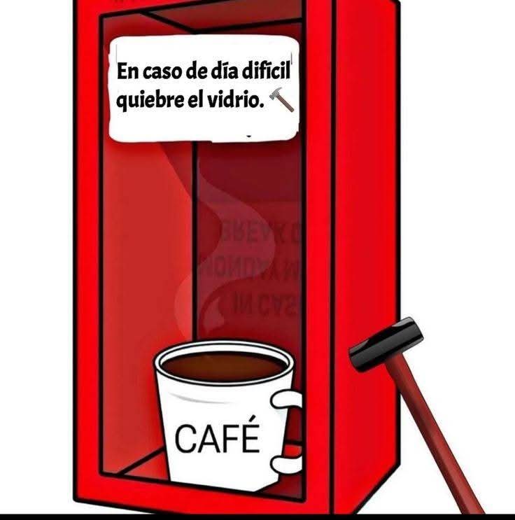 Stela861's tweet photo. ❤️ Buenos días Familia 2.0 ❤️ https://t.co/P3a7mxKUZb