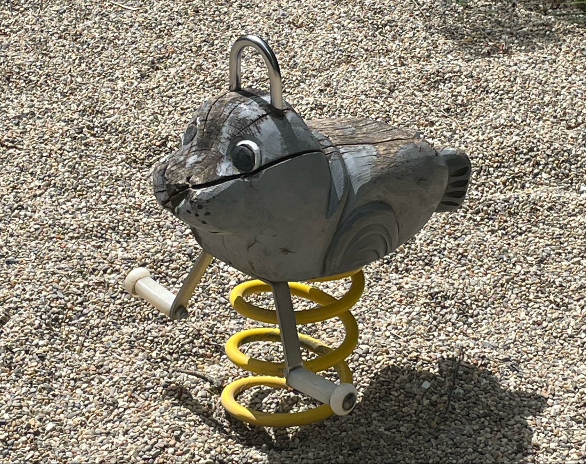 sealsignal's tweet photo. I saw some very cute seals in the wild! I wanted to take them home, but as we all know, that’s not allowed 😭 https://t.co/RO1EyBJp0n